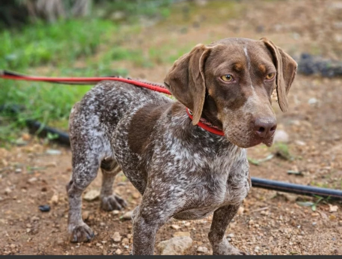 Screenshot 20251126 232830 Chrome