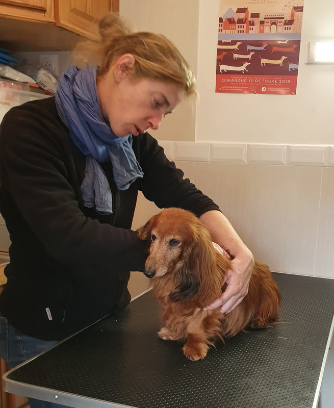 [Image: 20211103-152150.jpg]