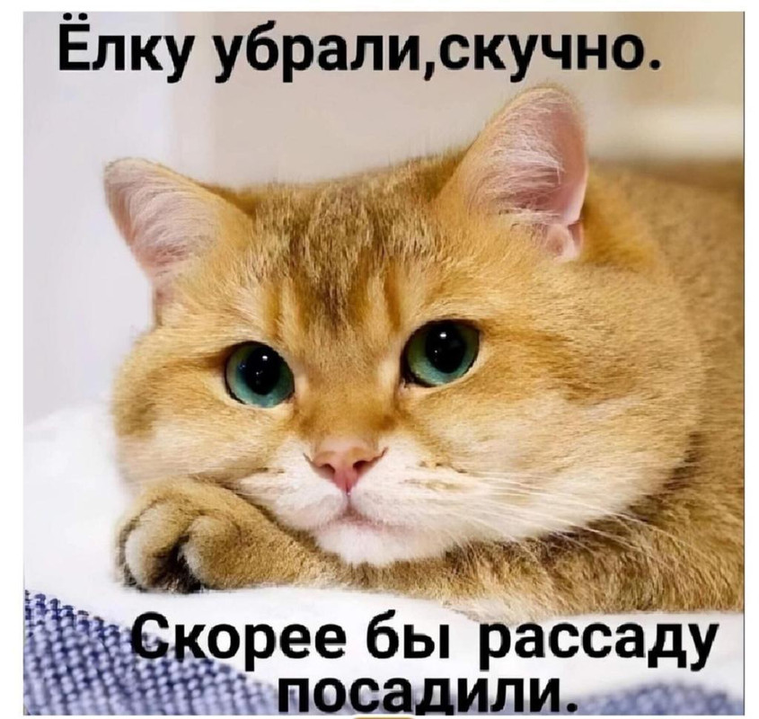 82F1F573-EEF8-4911-B3AE-4204D7BC0CB2