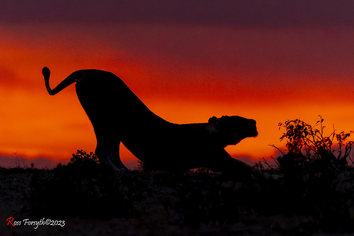 _5RF7061-CR3_DxO_DeepPRIME