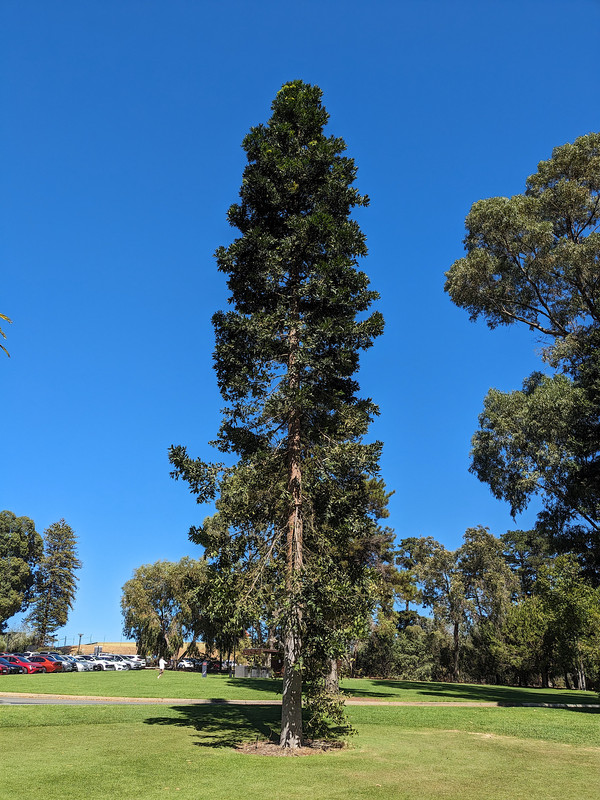 PXL_20240311_022705725