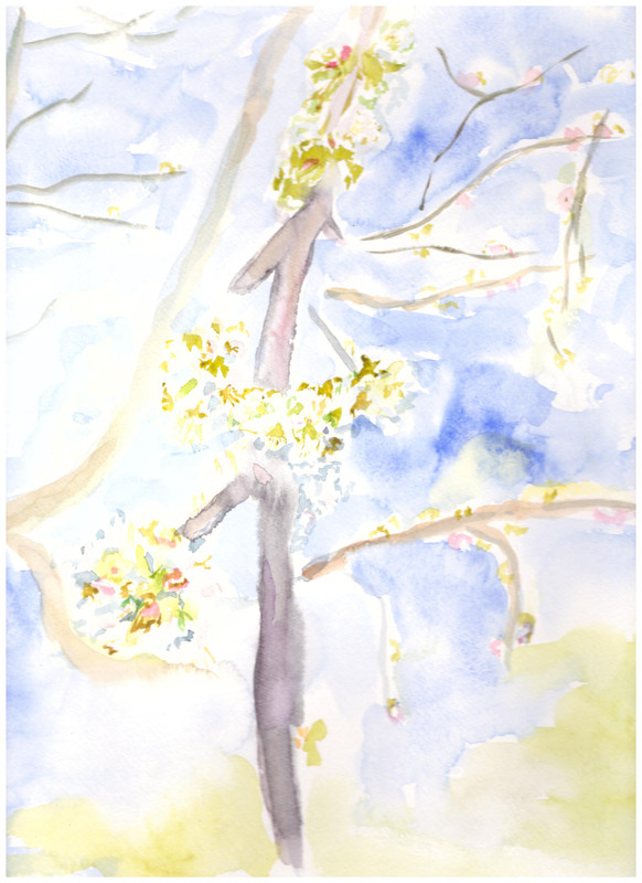 003 (2)