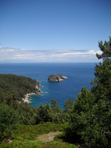 Slika