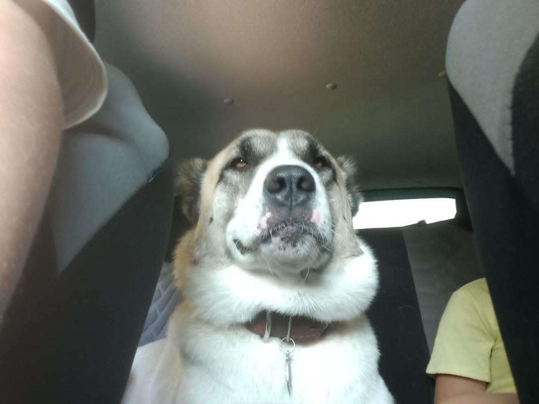 F6DCE8B5-4A3F-411A-B46C-54C0D11C2AE3