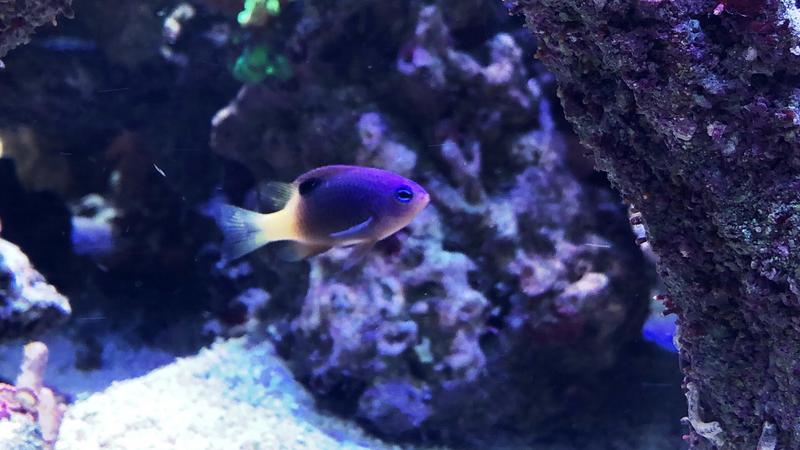 E4FBEC03-29E9-404A-B82A-23B4835CF98F