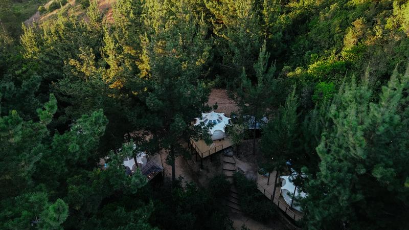 Domo de glamping rodeado de bosque visto desde lo alto