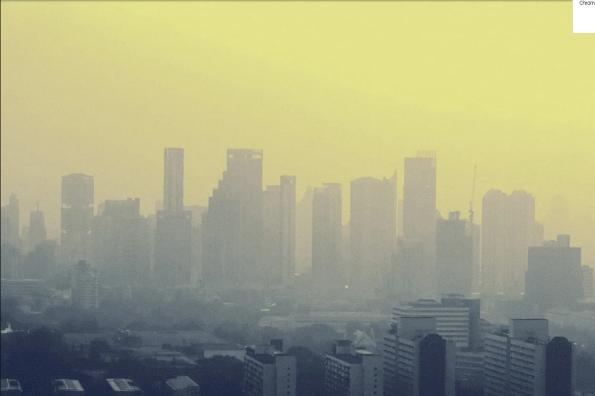 La contaminación del aire acelera la pérdida ósea en mujeres, según un estudio