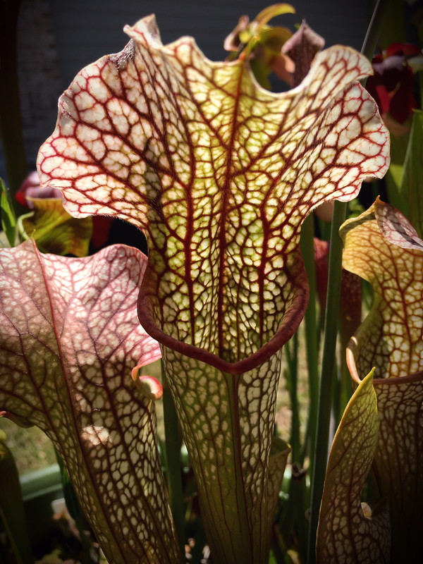 39629030-911A-4073-9158-B548508B4E65