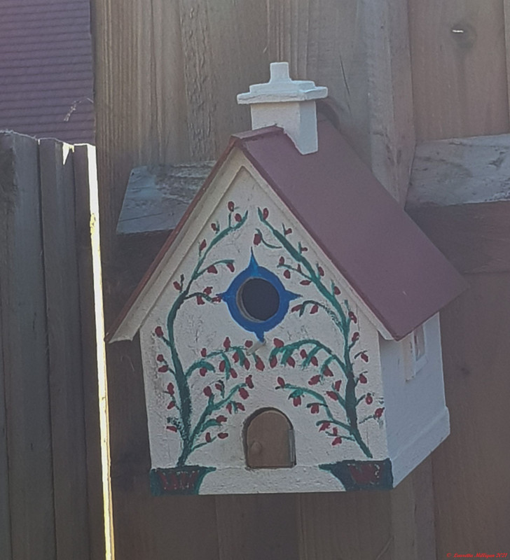 Bird box