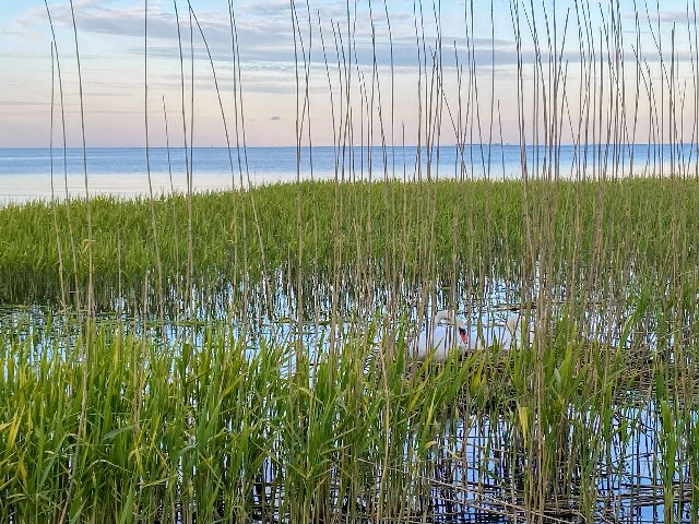 332-F8-F26-A375-4304-97-EE-9906-C52-D69-