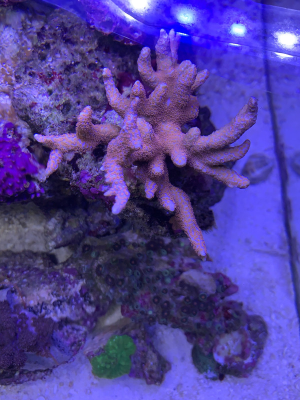 B5076CB4-DC47-41B1-8526-297E0E51E1C3