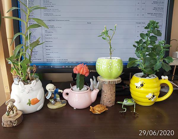 [Image: IMG-20200629-103335.jpg]