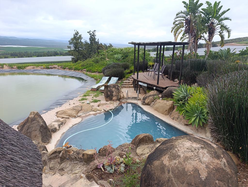 Такая близкая Африка. (ЮАР. 22 дня и 4200 км. Ноябрь-Декабрь)