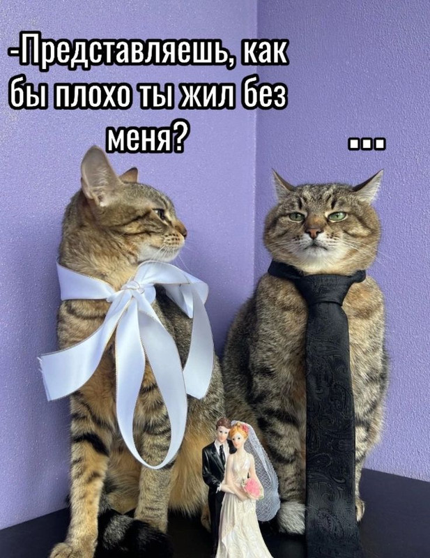 e9474032f8b22ad523d7903bef367062 (1)
