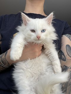 5FDDE53B-E67B-48B8-8CD8-B64466B259DE