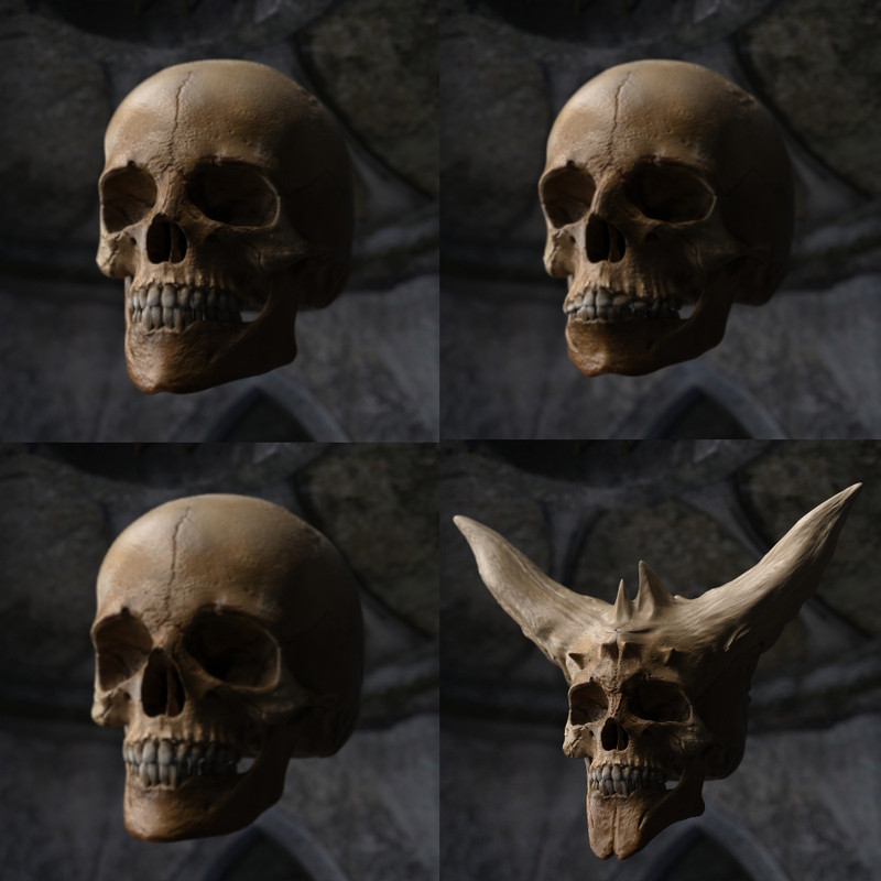 Skull Prop With Face Presets & Scars Skull Prop With Face Presets & Scars