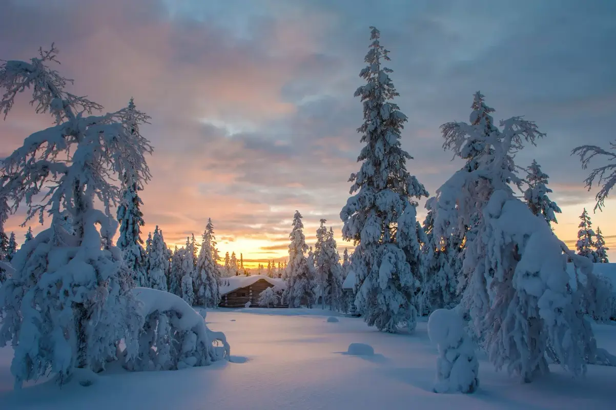 sneeuw-fotograferen-zonsopkomst-lapland.webp