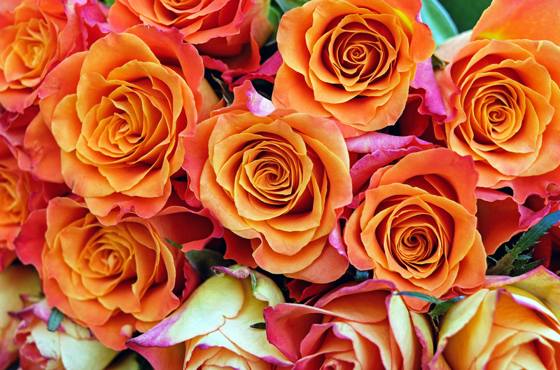flowersorangeroses.jpg