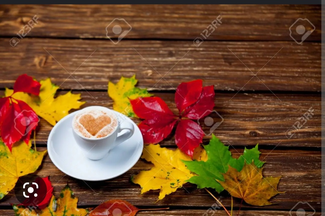 Screenshot_20221126-004520_Chrome