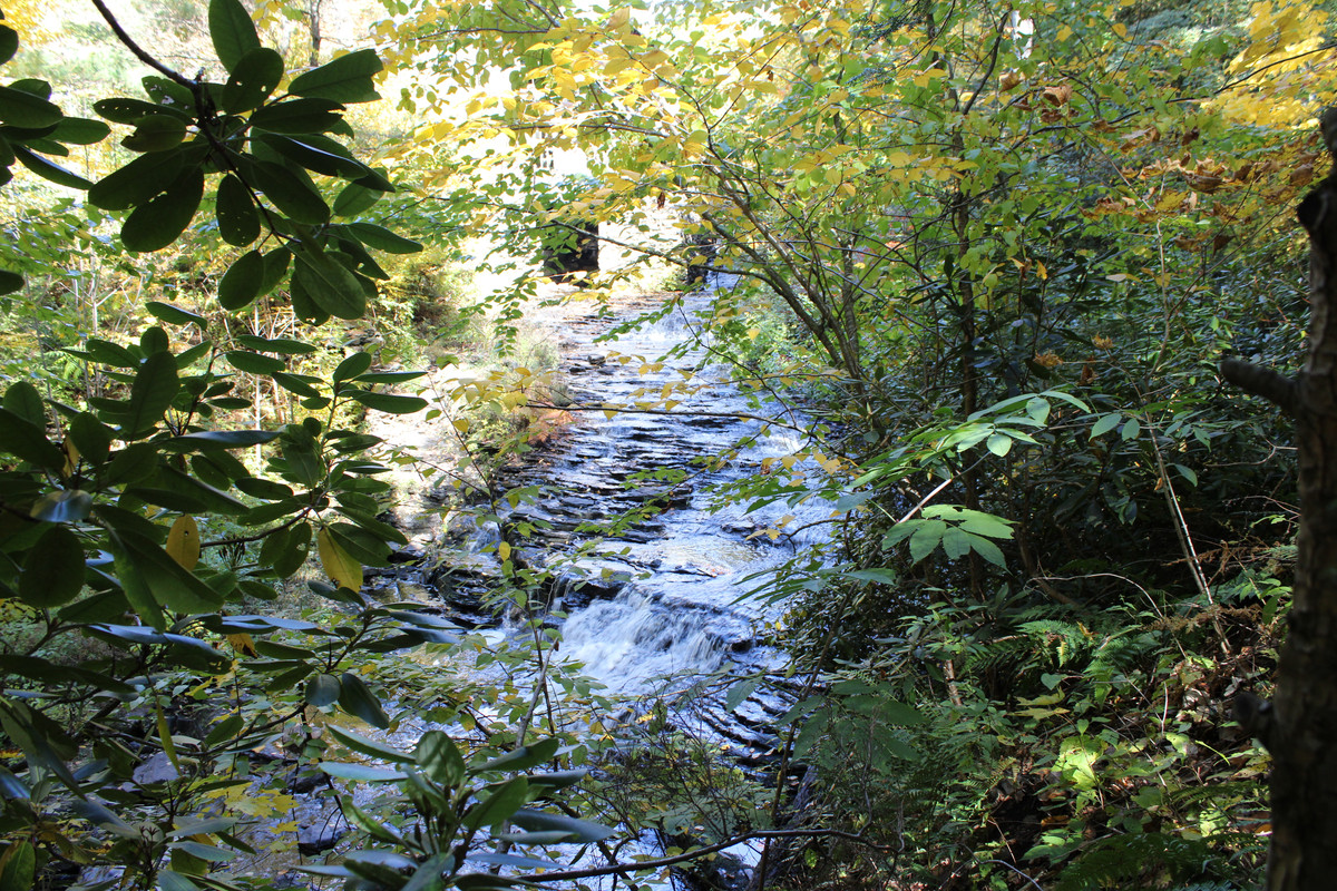 IMG 8254 — Postimages