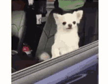 12733-F00-DF57-4-DFB-B597-B9-C1104-EFC95.gif