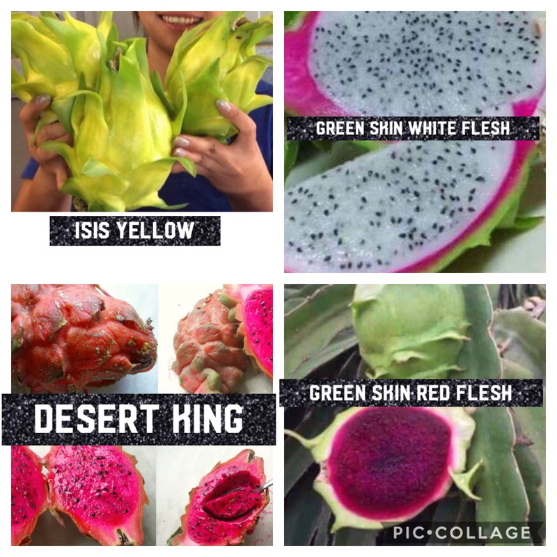 0DB67037-DCA3-488E-BC1E-9F9A5E7531E0