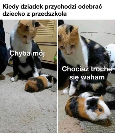 comment-1615409106-Oc-Nmco-Ymy9jpialn3q-