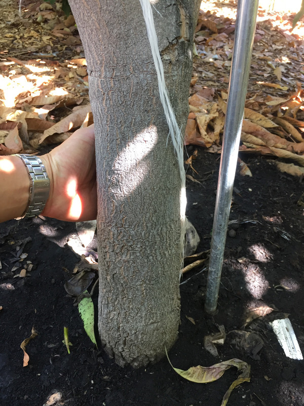 77DEE52D-6746-4F23-B03F-ED3FC0B6672F