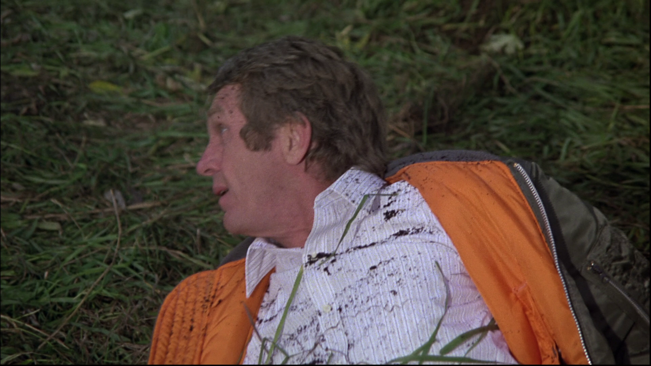 vlcsnap-2022-06-04-20h59m31s557