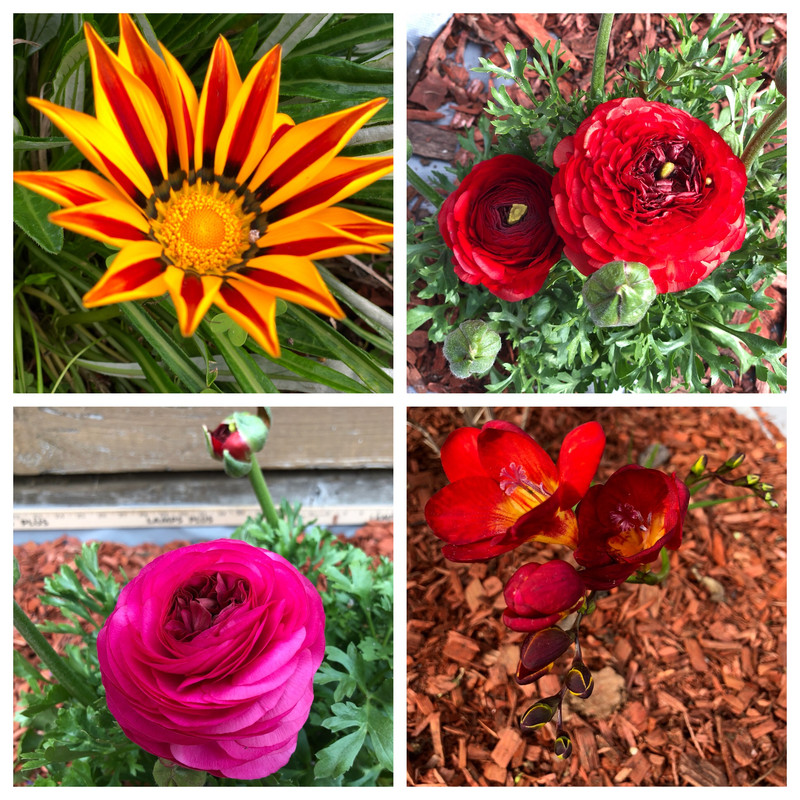 616D82B5-AA6D-4004-9B4E-B82547F8C6FF