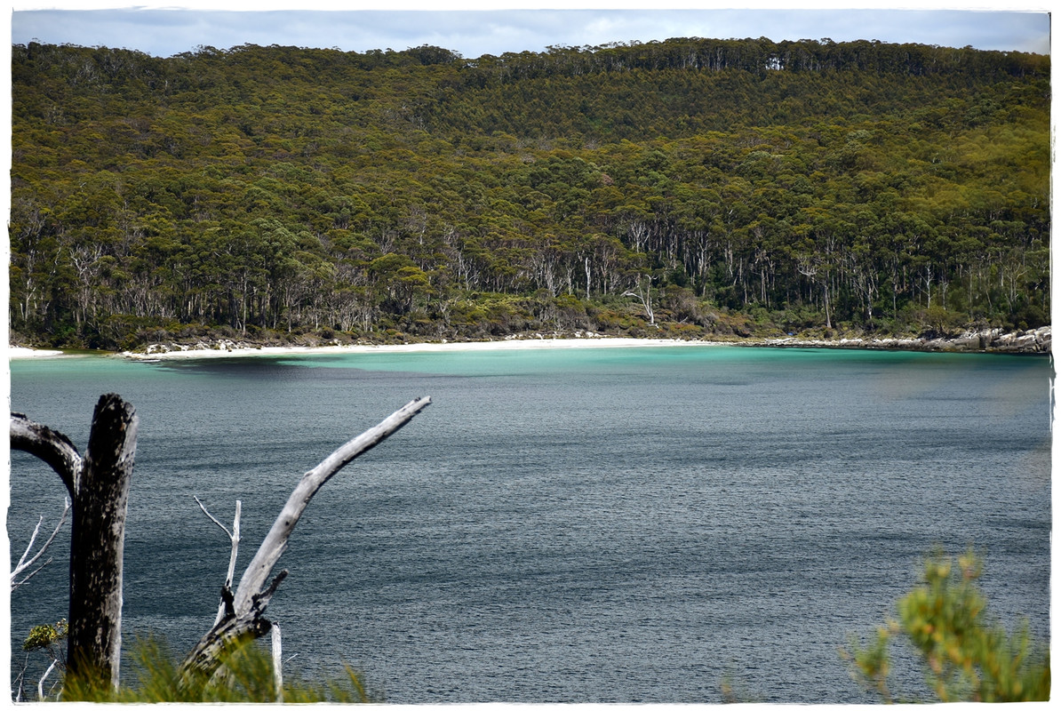Australia (II): Recorriendo Tasmania - Blogs de Australia - Tasman National Park (12)