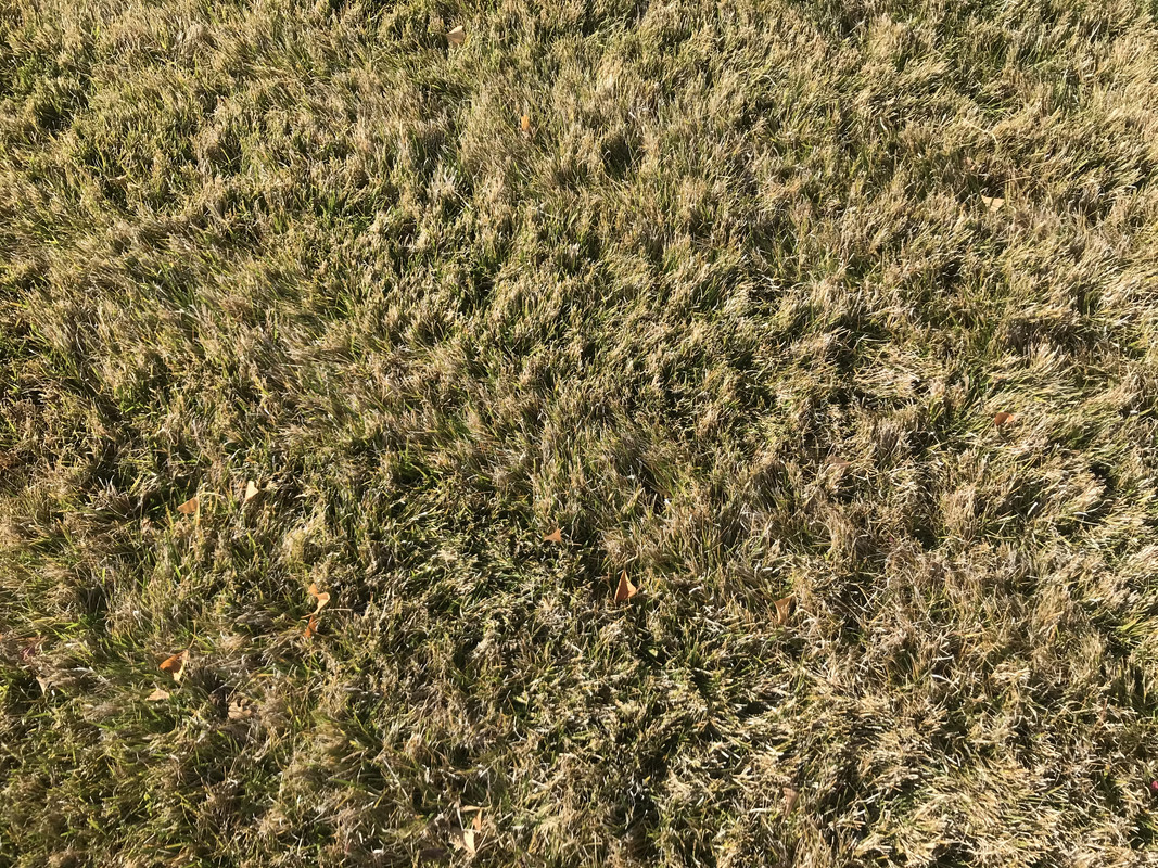 8C58AEA4-5128-4088-8514-D5A73831C225