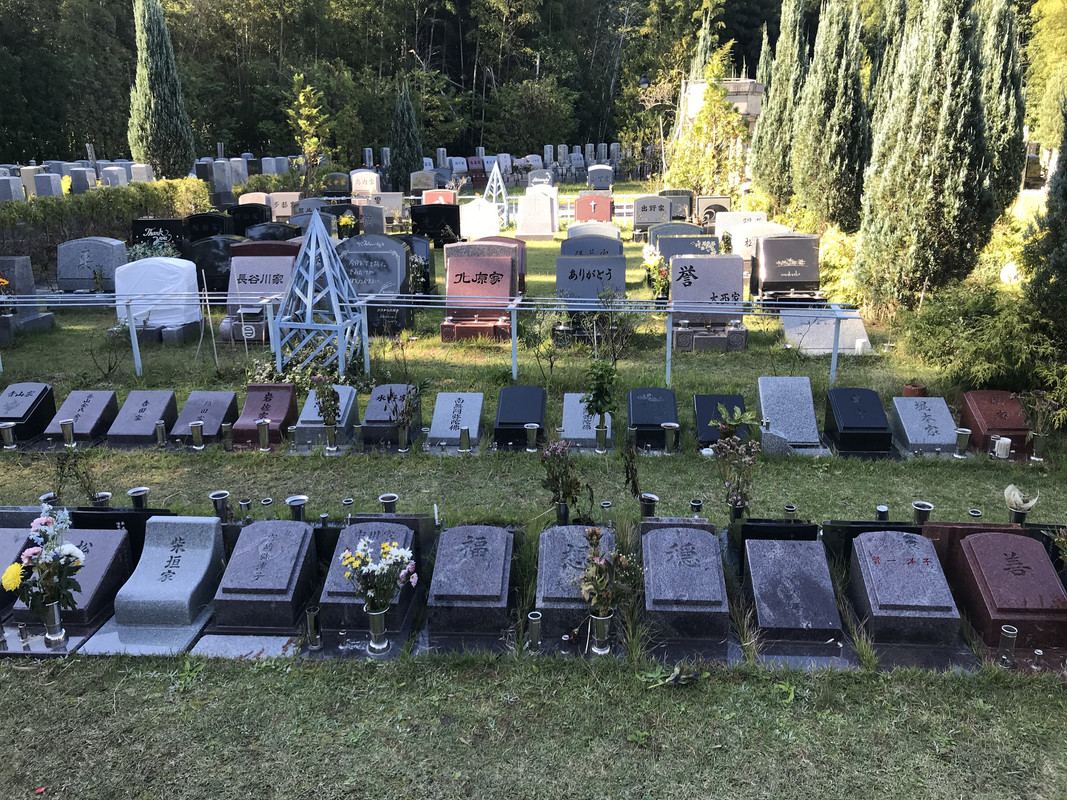 962439E1-562D-4144-B28B-49B1D423AEAF