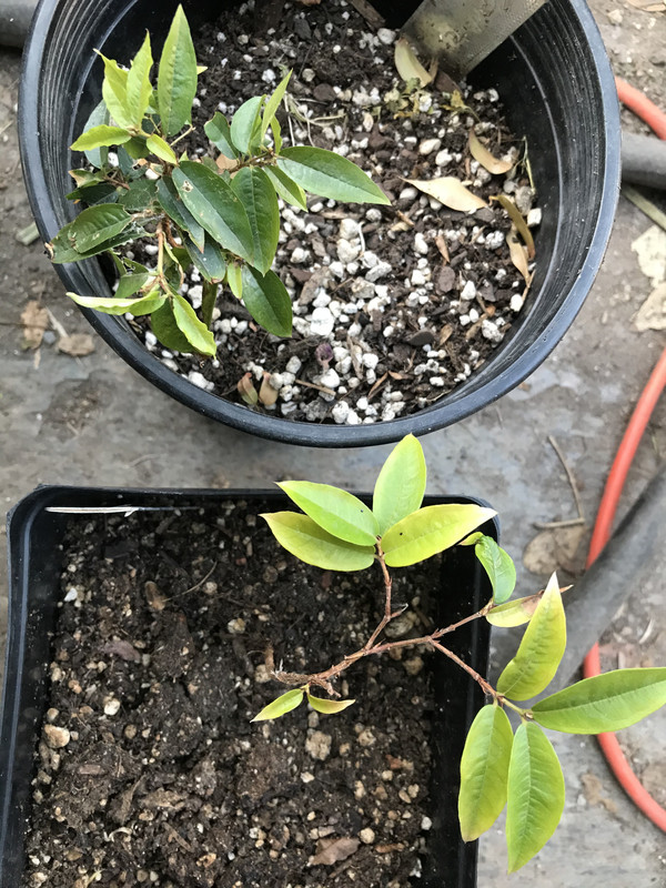 50E346D0-FE54-4459-8EDC-6F35F0D791CF