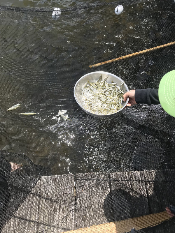 8941D471-5CF4-4AD9-A934-7F7C4F581DB9