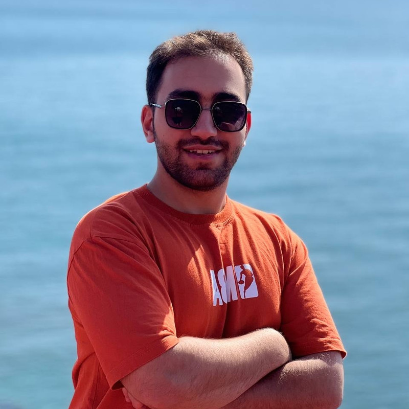 amirmansour.sol Solana Name Service (SNS and .sol domain) PFP
