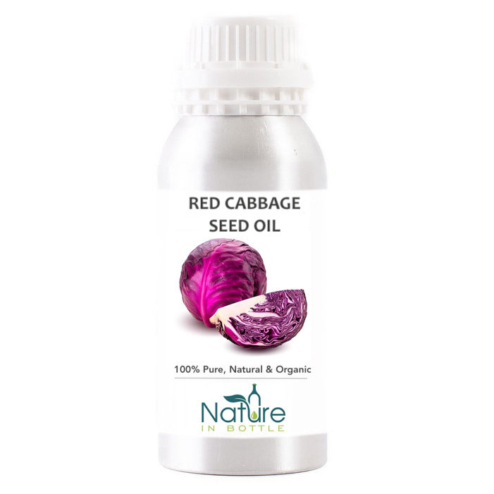 Red Cabbage Seed Oil Organic Brassica Oleracea Capitata