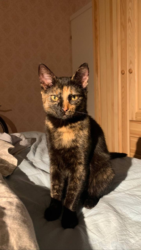 3C269AC5-B0D7-4580-9F2C-1E8388CA69A8