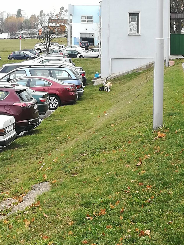 IMG_0350-27-10-18-02-44