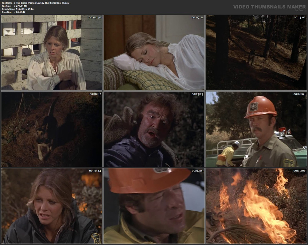 The Bionic Woman S03E02 The Bionic Dog(2).mkv