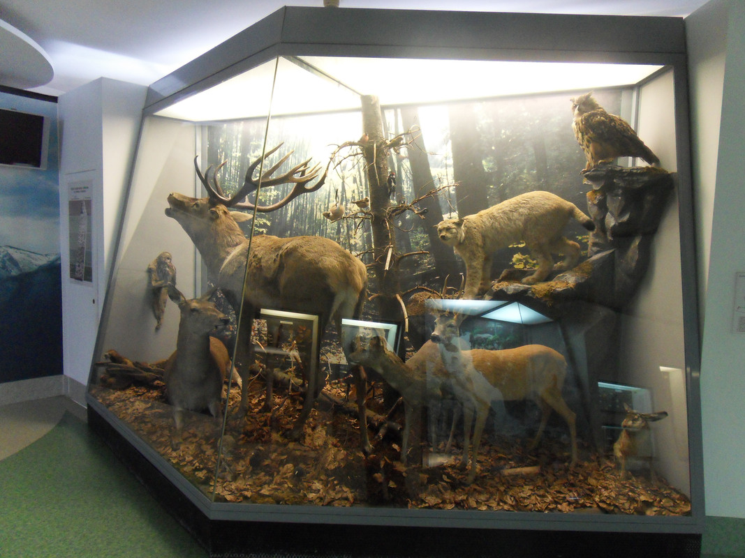 06.21 - SDC14200 (Czesio1)