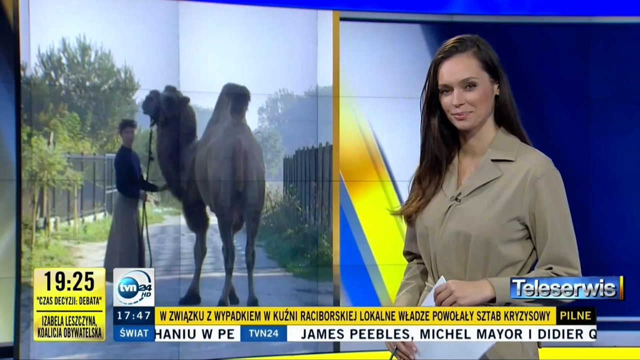 V0323_20191009_105901.mp4_snapshot_17.56_[2019.10.09_11.29.07]