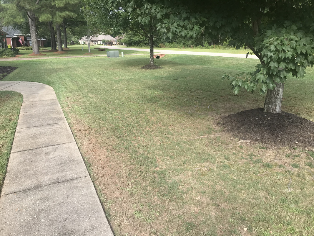 B2A4162F-EDF3-4724-9A32-2AB4373D9EC2