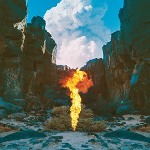 Re: Bonobo