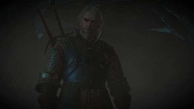 witcher3-2019-06-08-15-28-57-74.png