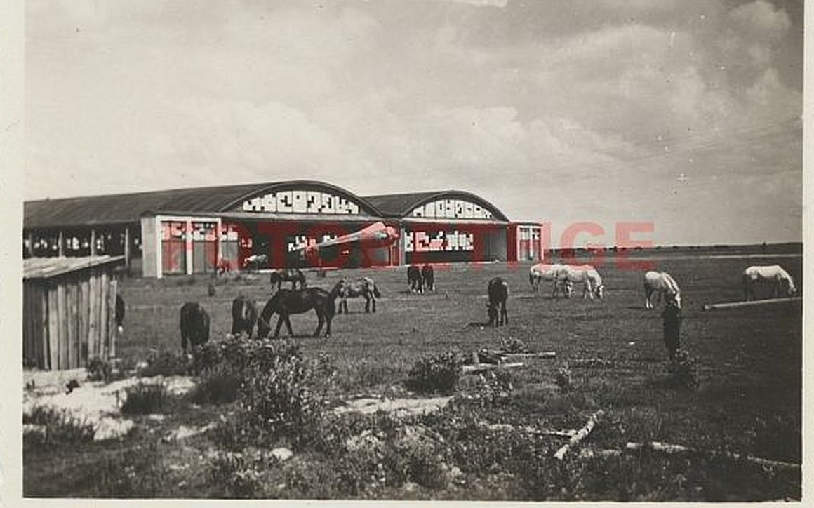 180519-30Olsufjewo bei Smolensk Flugplatz 1941