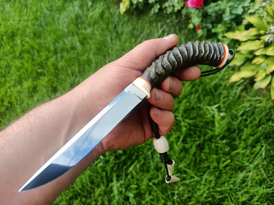 454005841_3573543296228701_7674632307696306942_n