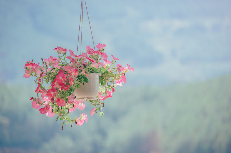 floralhangingbasket.jpg