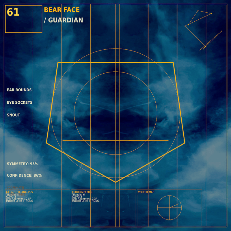 Bear face