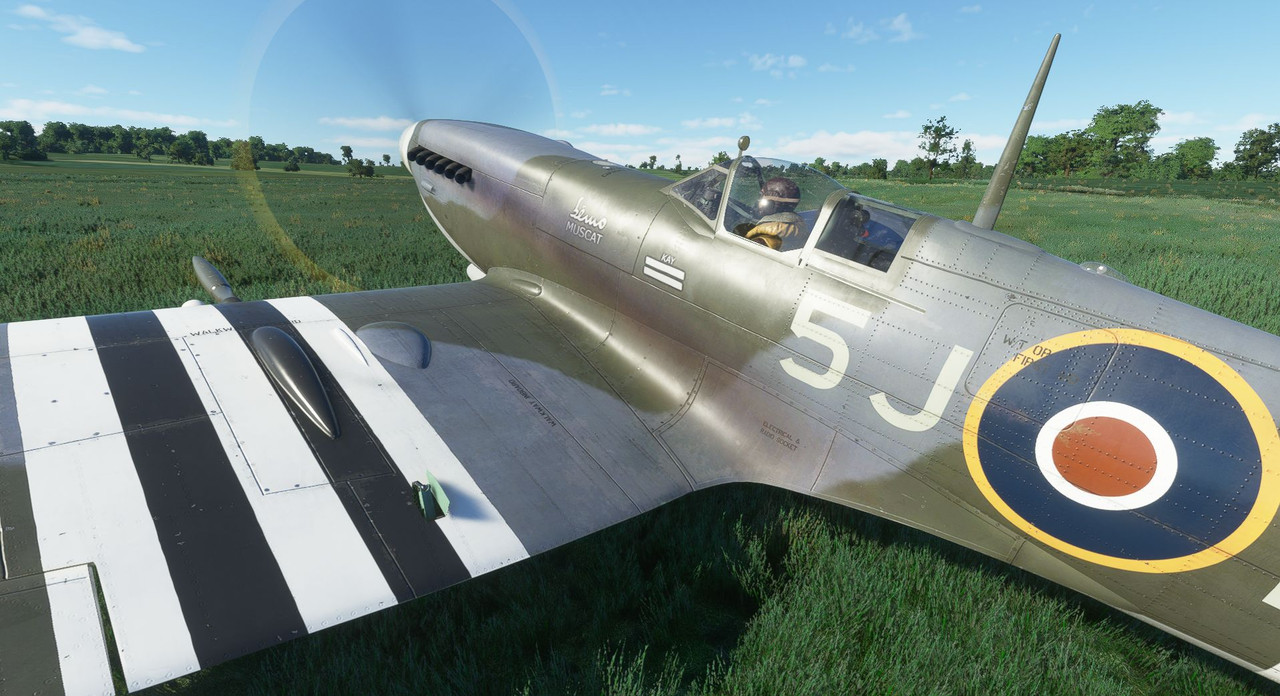 aw-1.jpg